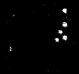 Preparation method of mitochondria-targeting carrier containing small-molecule-drug-loading mesoporous silica encapsulated with DQA