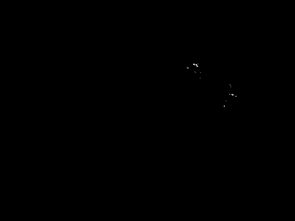 Abalone shell pearl layer powder and processing method thereof