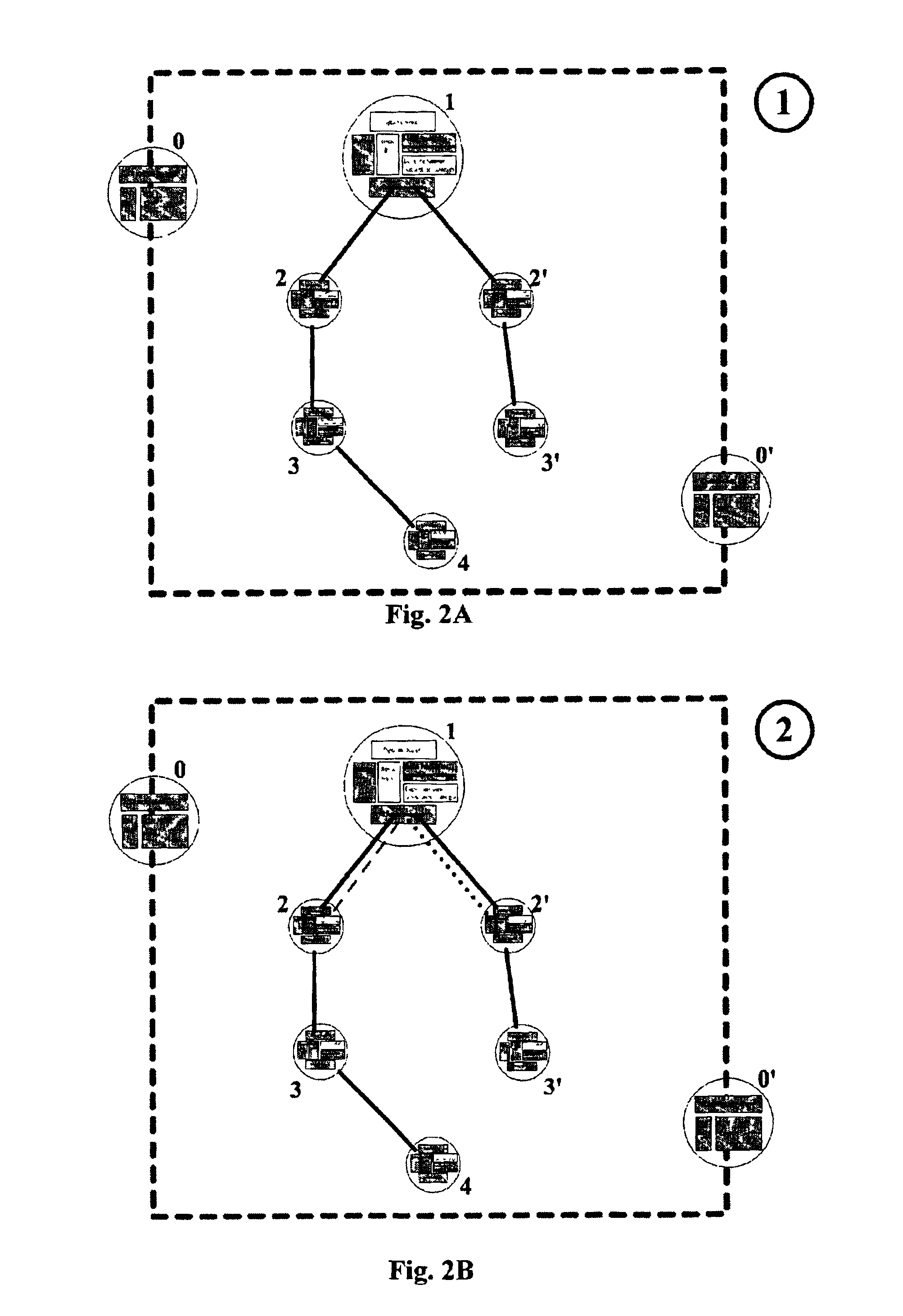 Organic data network having a dynamic topology