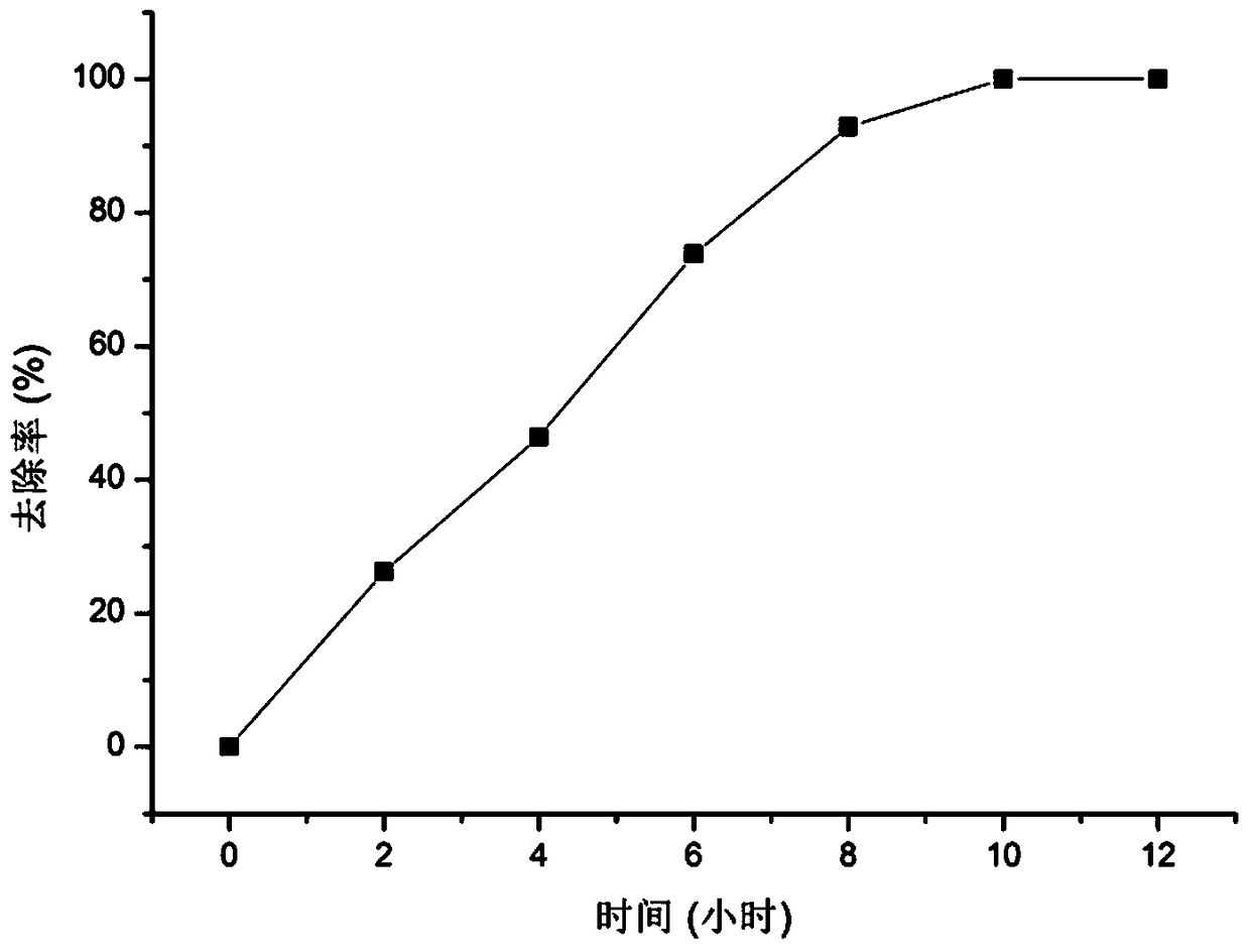 A microbial complex for the elimination of sulfide in sediments