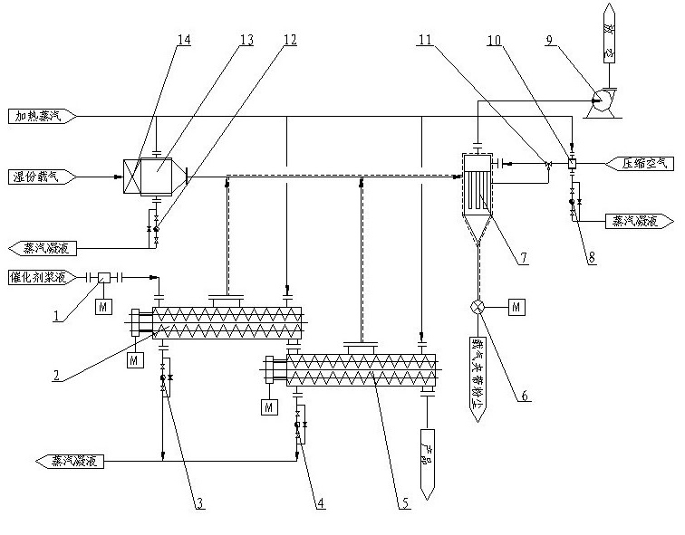 Continuous drying process and equipment for cyclohexanone oximation catalyst