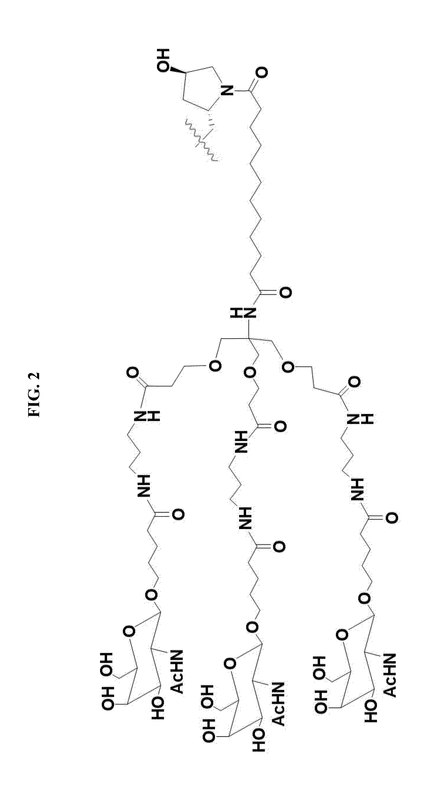 Microrna compounds and methods for modulating mir-122