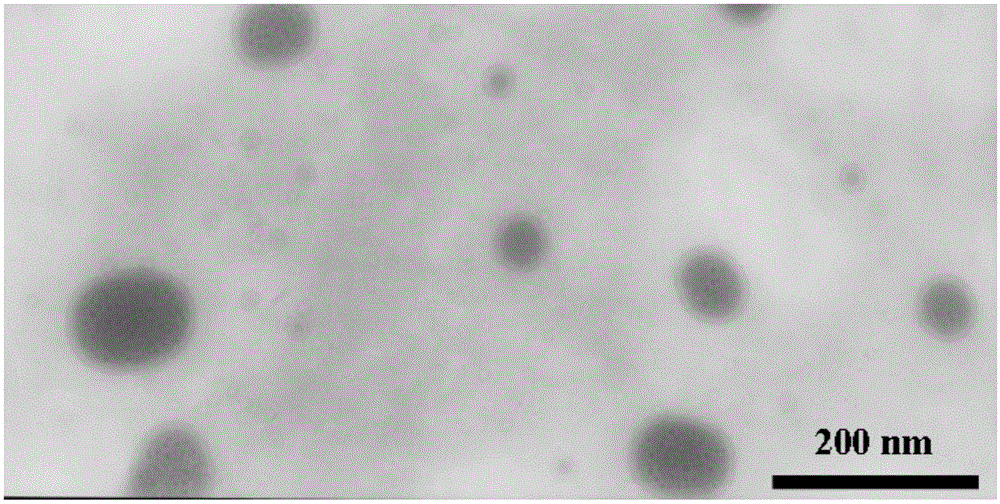 A kind of zl006 liposome and preparation method thereof