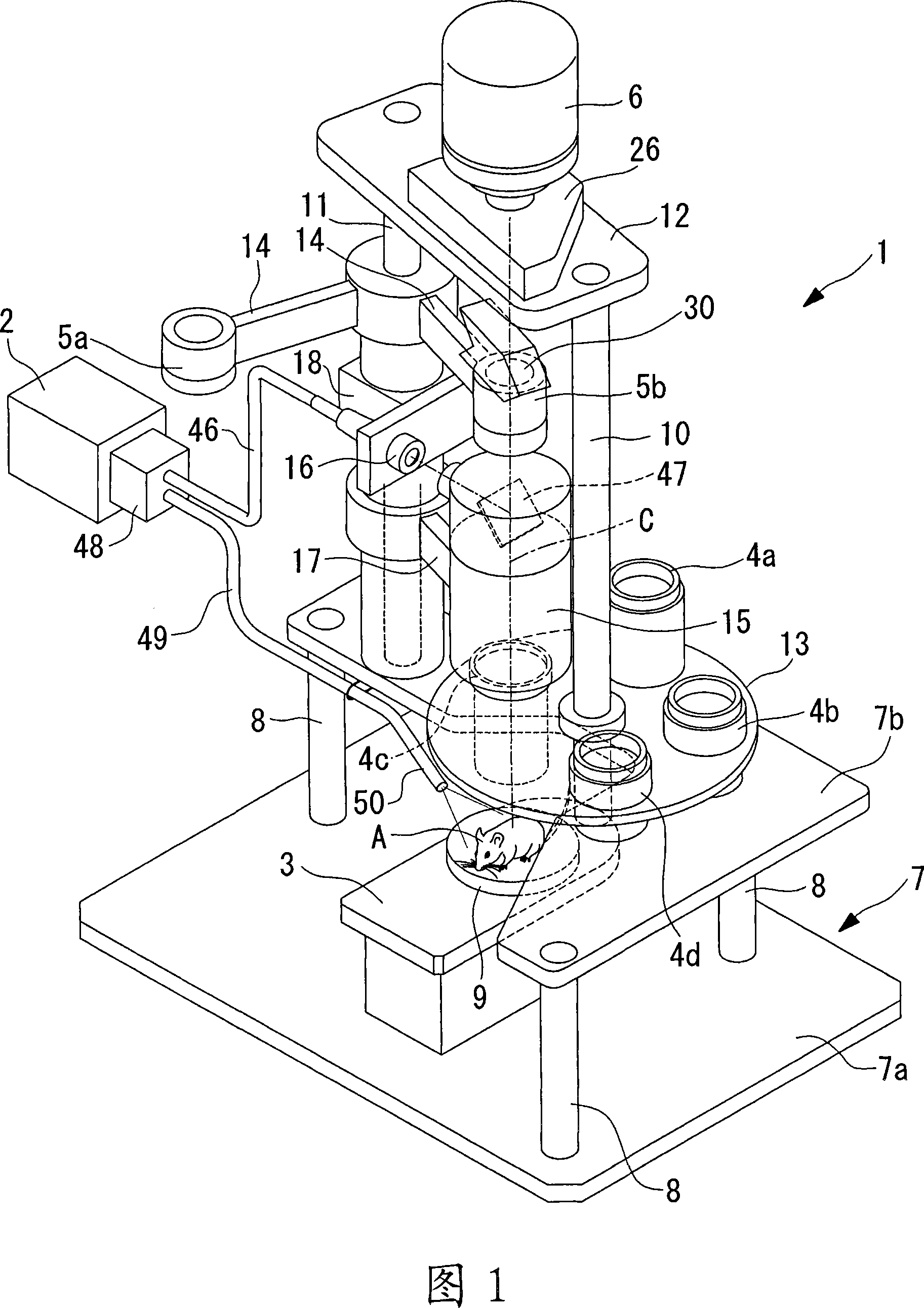 Observing device and fluorescent light observing device