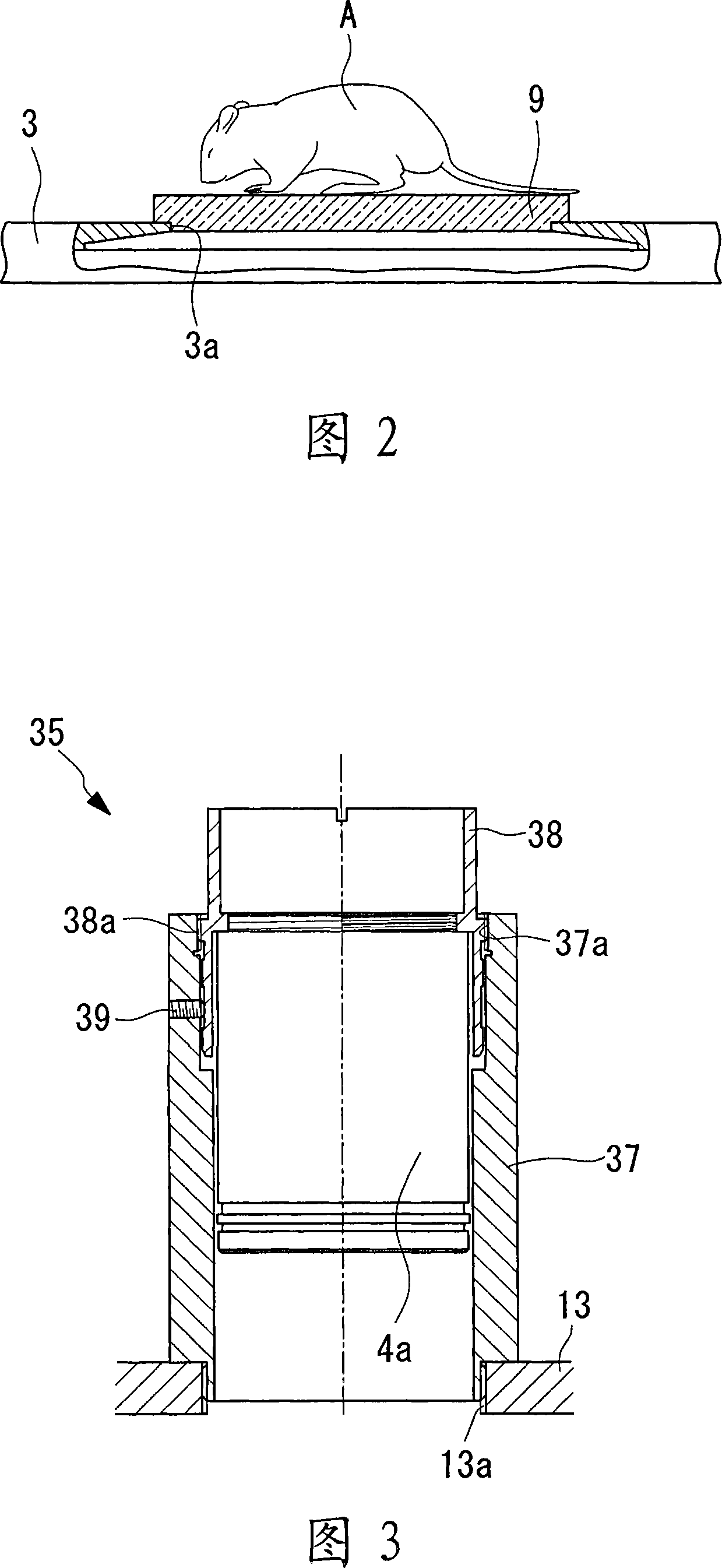 Observing device and fluorescent light observing device