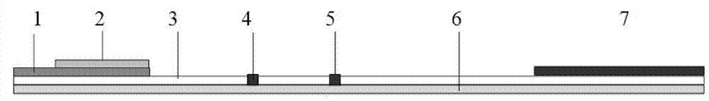 Preparation and applications of nucleic acid lateral flow test strip kit for detecting EHEC O157