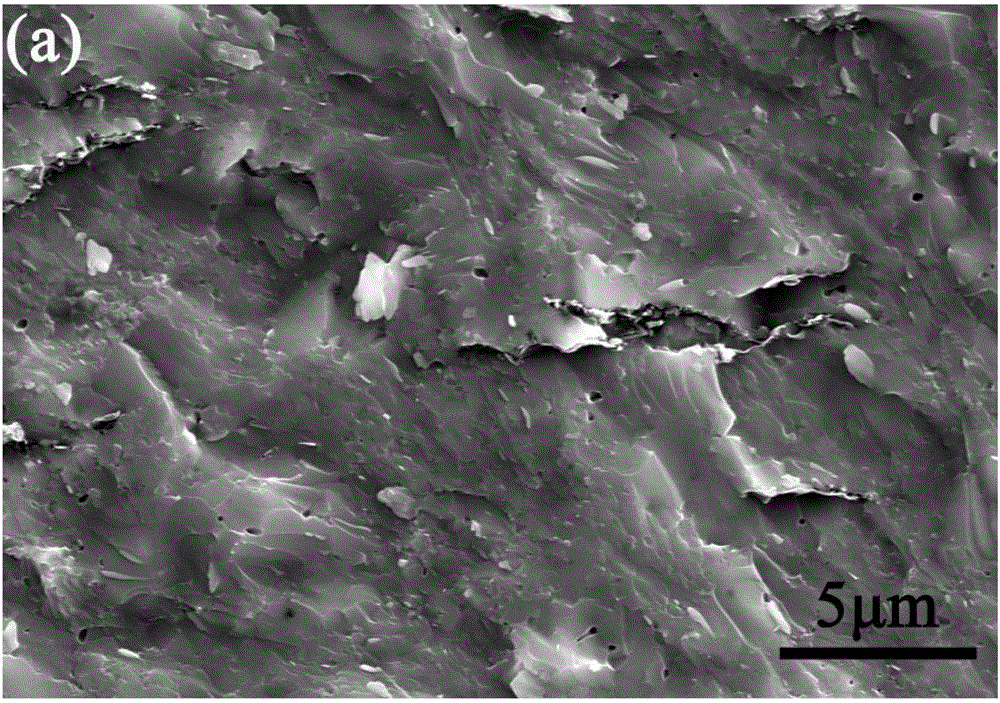 Two-phase calcium phosphate composite material adopting graphene and carbon nano-tube as synergistic toughening phases and preparation method of composite material