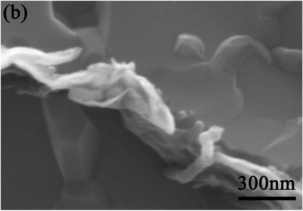 Two-phase calcium phosphate composite material adopting graphene and carbon nano-tube as synergistic toughening phases and preparation method of composite material