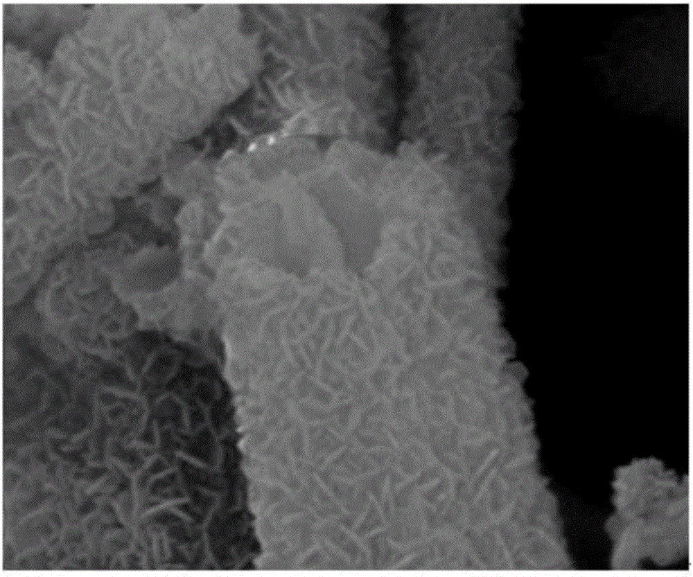 Method for preparing hydroxyl cobaltous oxide nanotube electrode