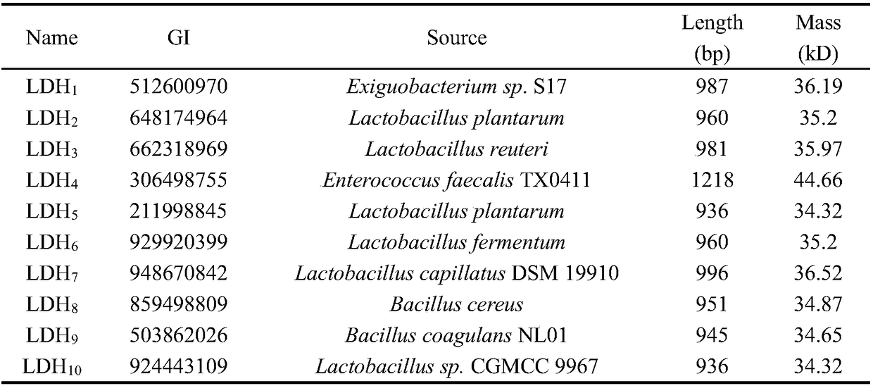 Method for producing phenyllactic acid through whole-cell transformation of phenylalanine