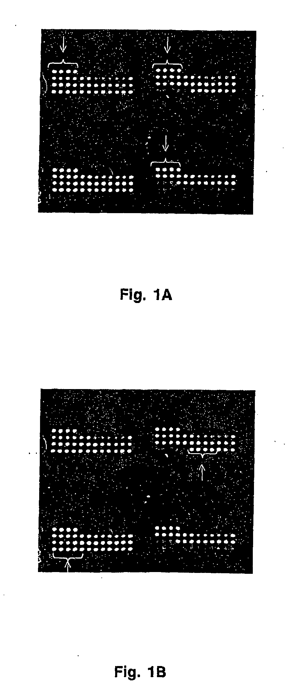 Protein micro-arrays and multi-layered affinity interaction detection