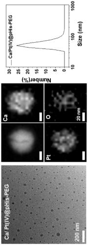 A kind of polyethylene glycol modified metal-organic nanomaterial and its preparation method and application