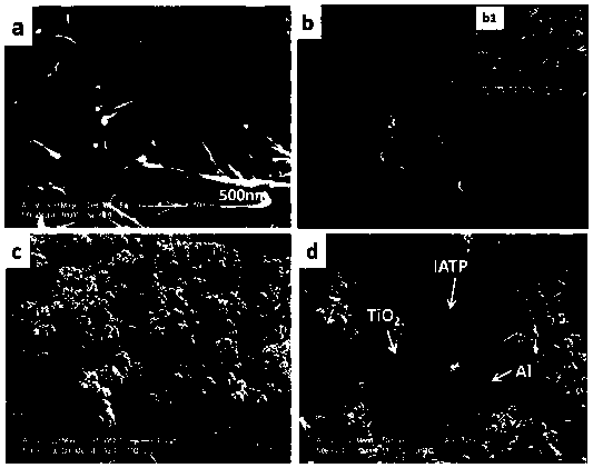 a hydrophobic tio  <sub>2</sub> Preparation method of visible light catalyst