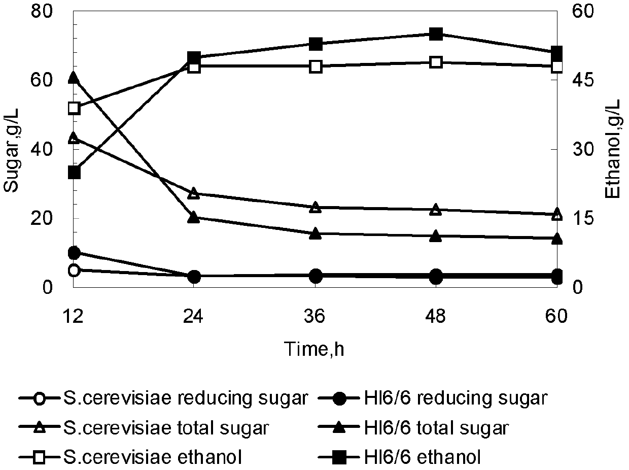 Method for preparing ethanol by fermenting jerusalem artichoke through recombinant saccharomyces cerevisiae