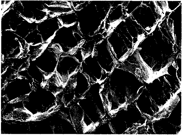 Cartilage derived collagen sponge scaffold and preparation method thereof