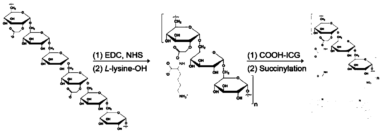 Preparation method and application of macrophage tracer fluorescent probe