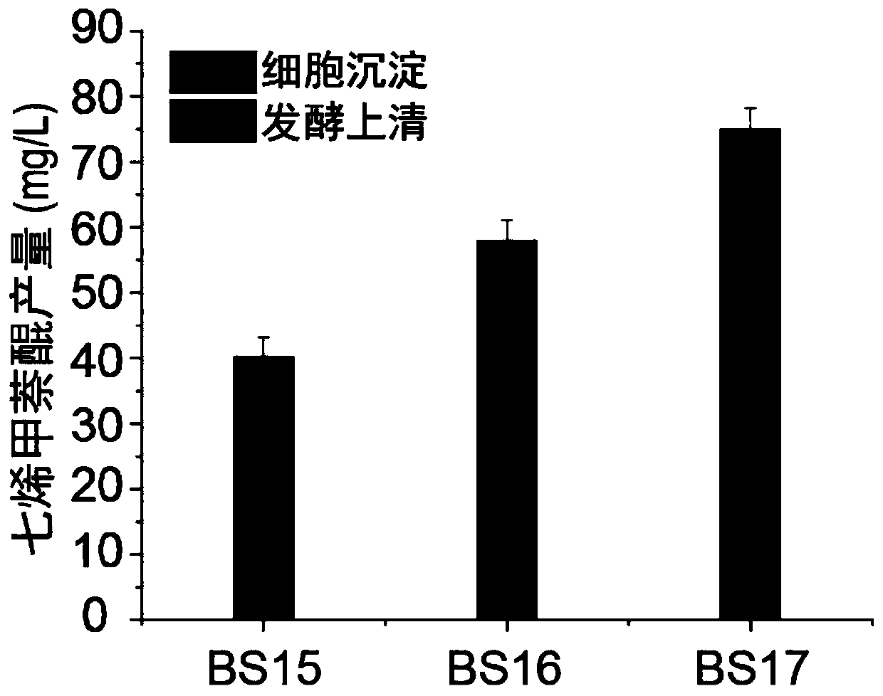 Method for increasing copy number of gene menA and increasing yield of MK-7