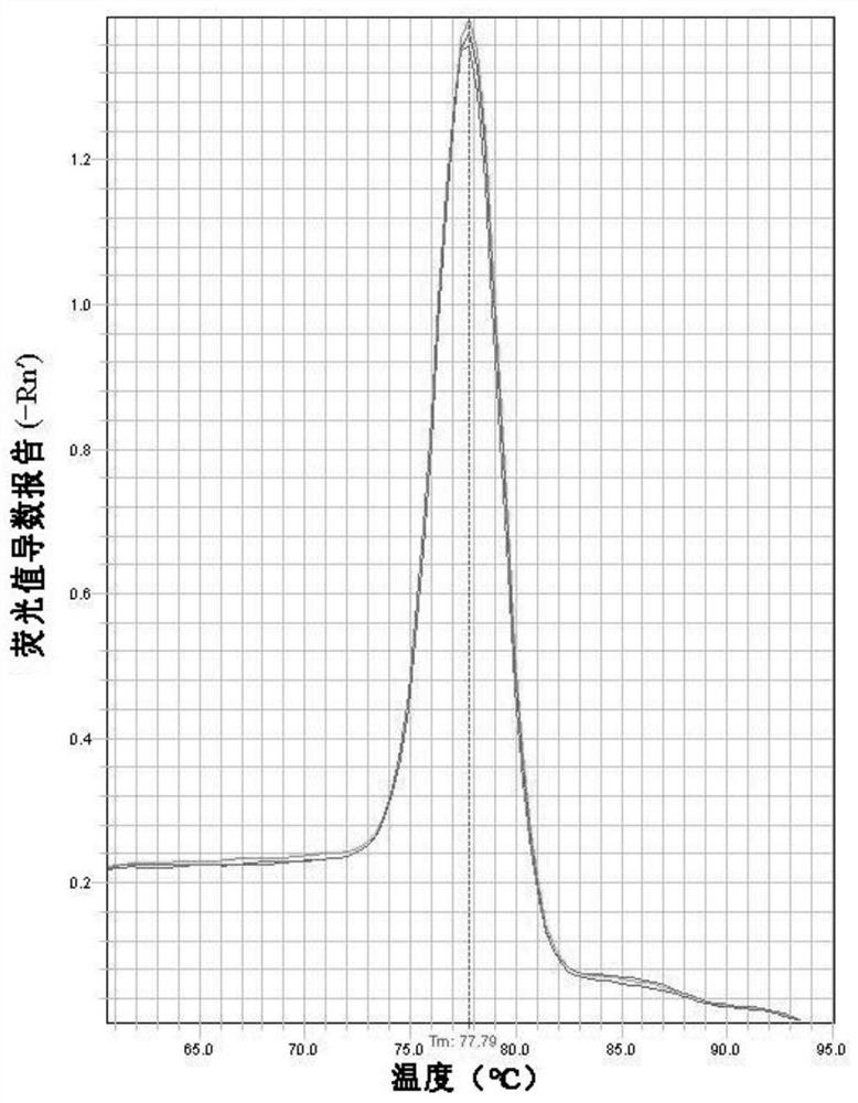 African swine fever virus detection kit and detection method based on k196r gene