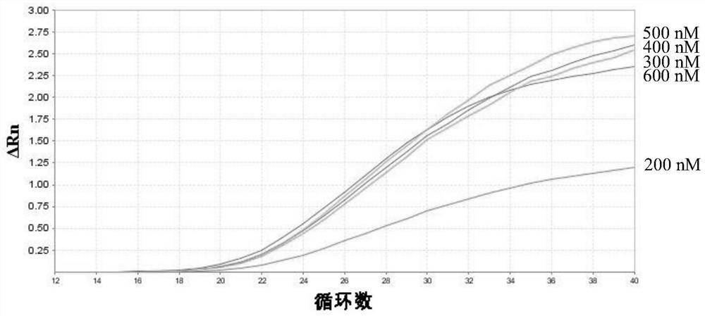 African swine fever virus detection kit and detection method based on k196r gene