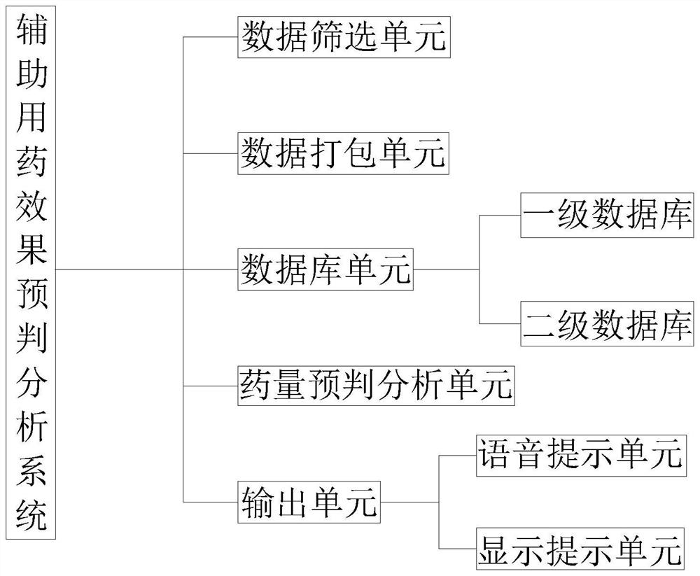 Auxiliary medication effect pre-judgment analysis system and method