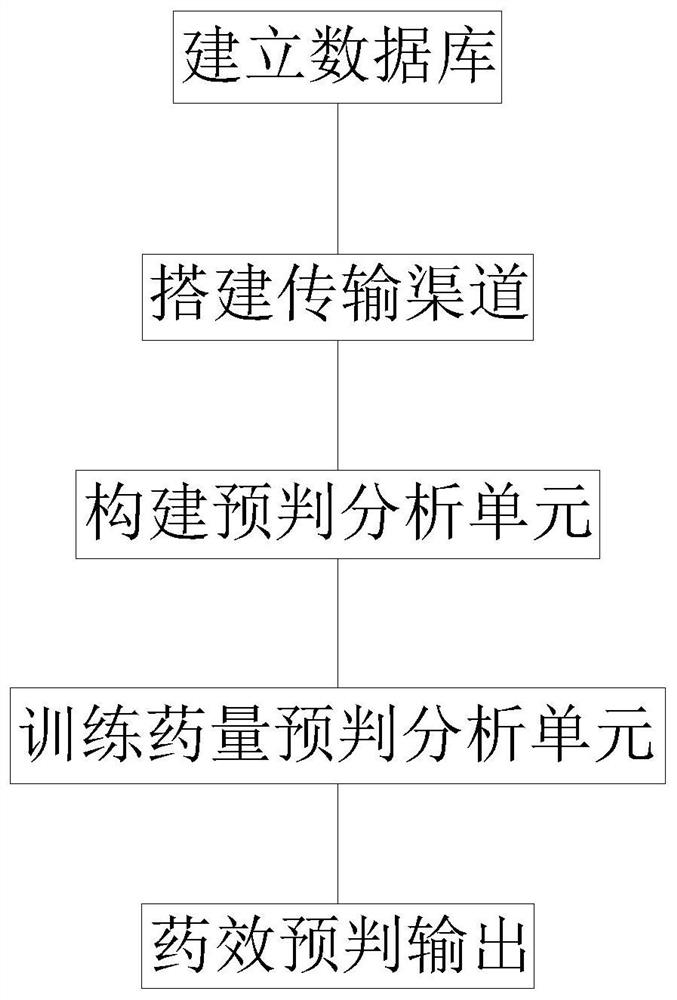 Auxiliary medication effect pre-judgment analysis system and method