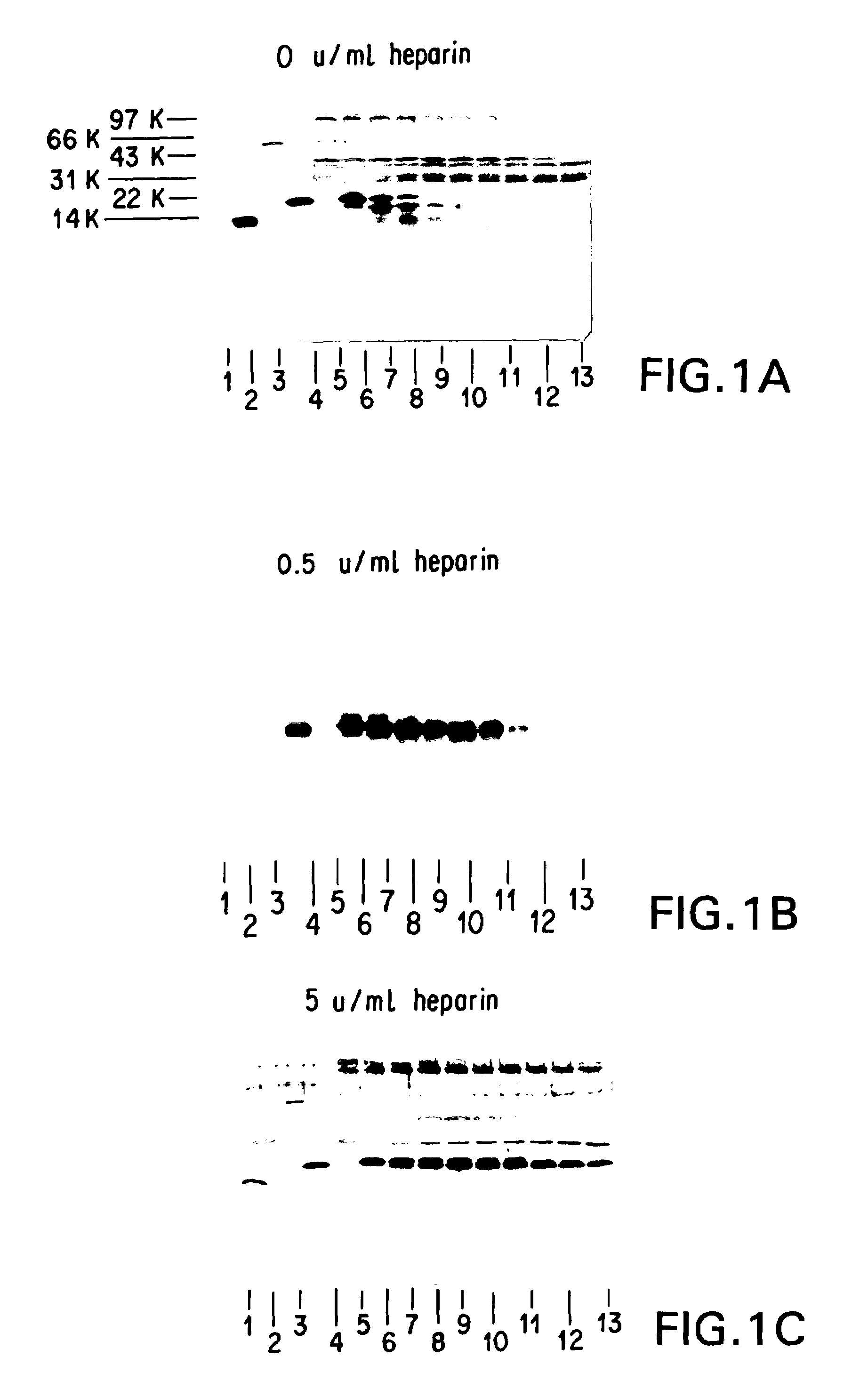 Supplemented and unsupplemented tissue sealants, methods of their production and use