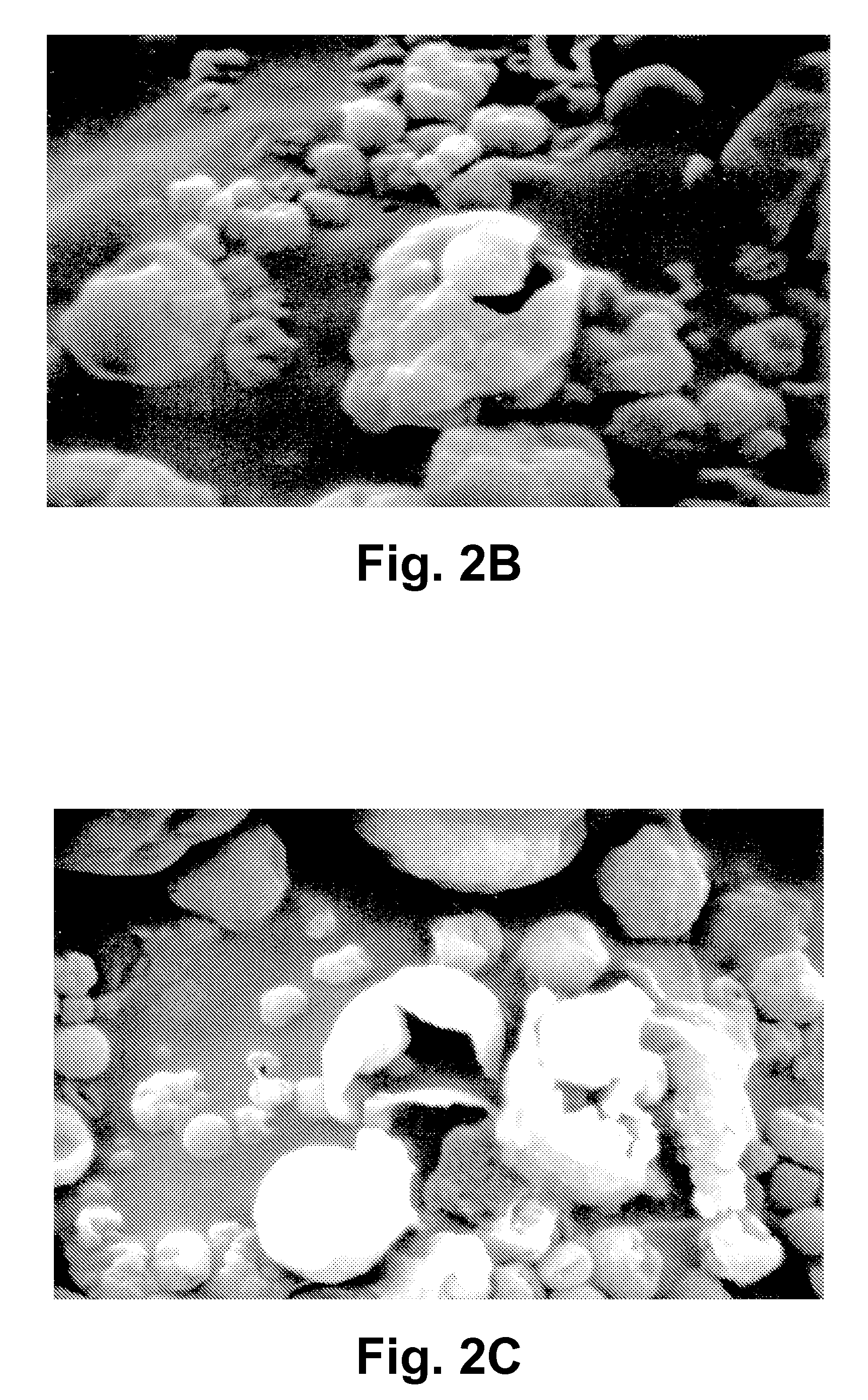 Microencapsulated Oil Product and Method of Making Same