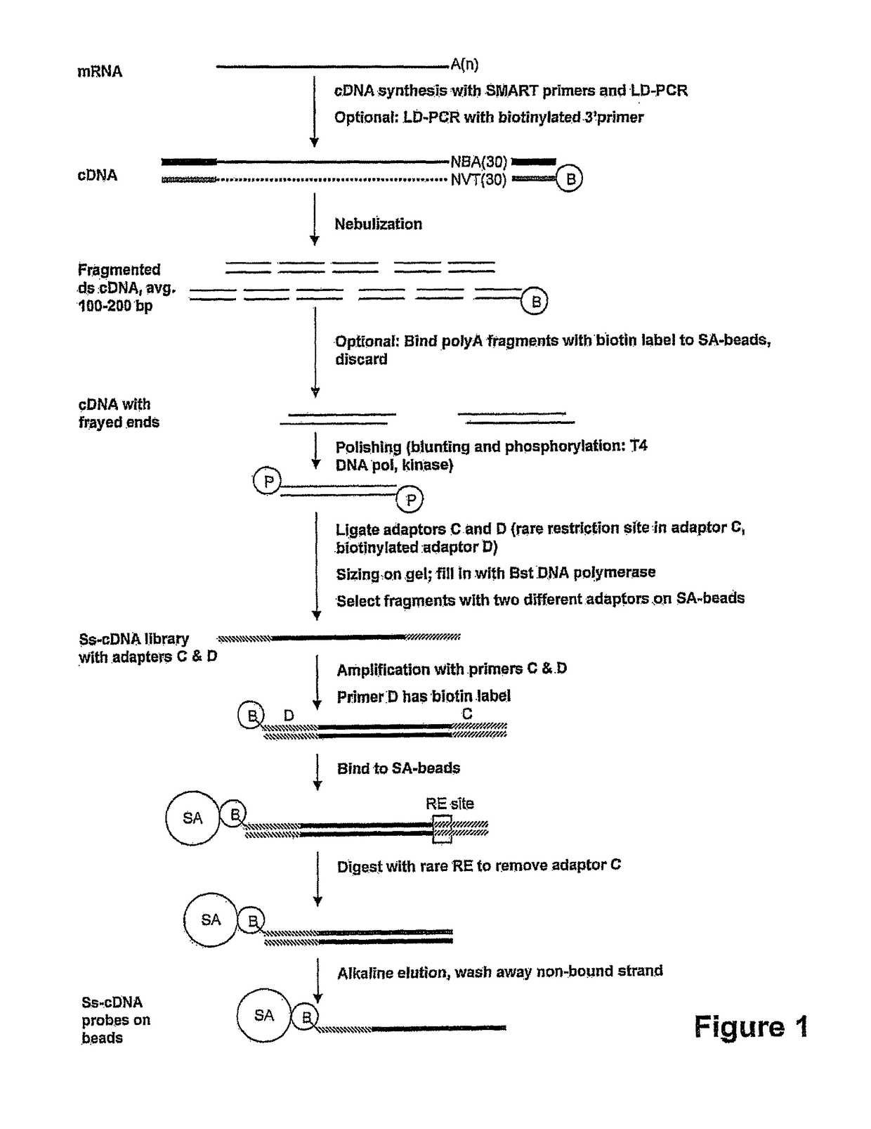 Expression-linked gene discovery