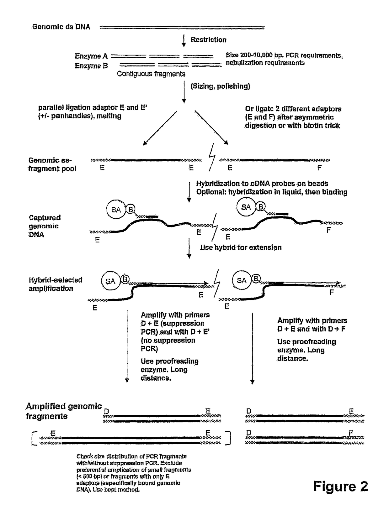 Expression-linked gene discovery