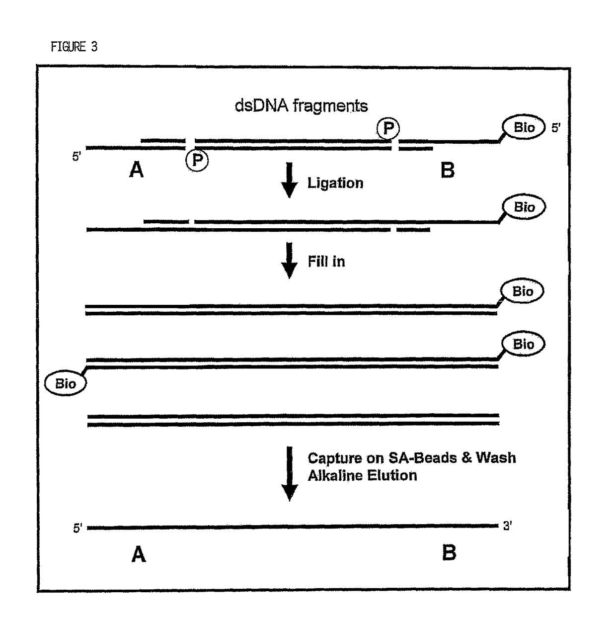 Expression-linked gene discovery