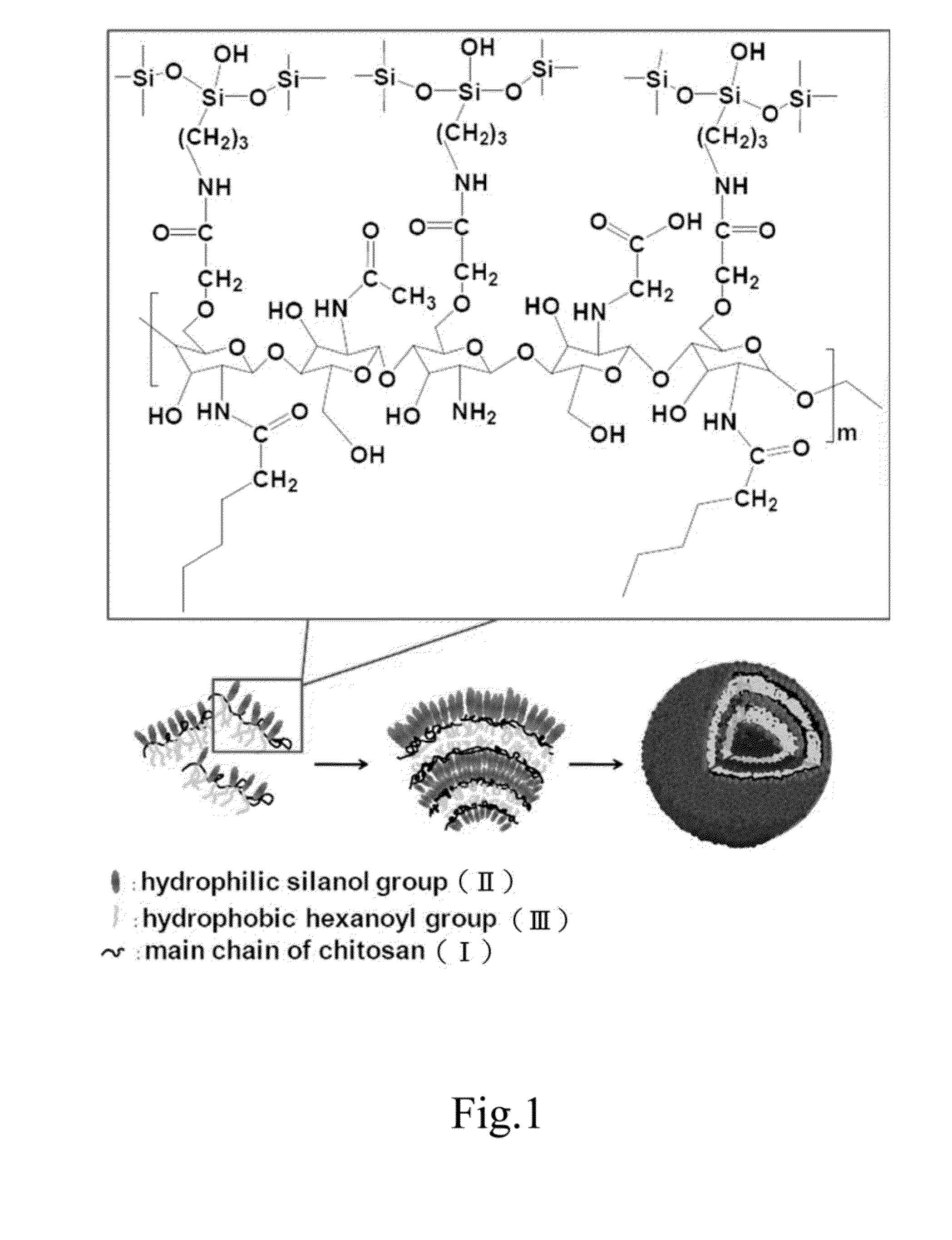 Drug-carrying contact lens and method for fabricating the same