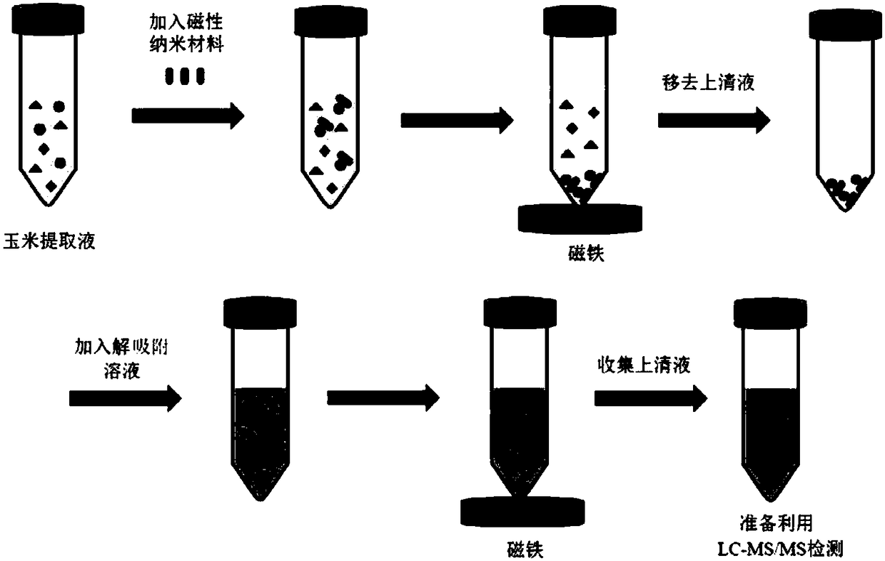 A kind of enrichment purification method of zearalenone toxoid