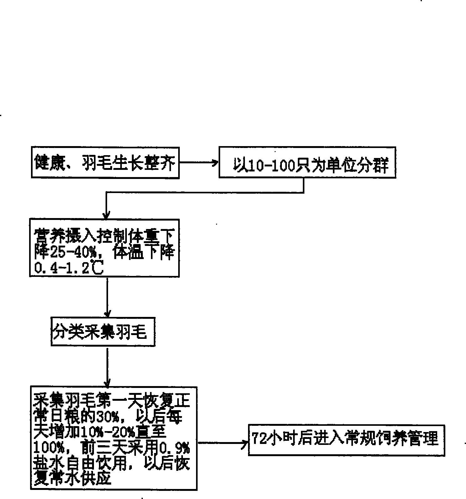 Method for gathering goose feather with artificial nutrition interference