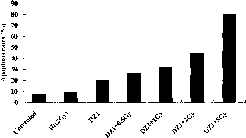 LMP1targeted oligonucleotide and application thereof serving as radiotherapeutic sensitizer