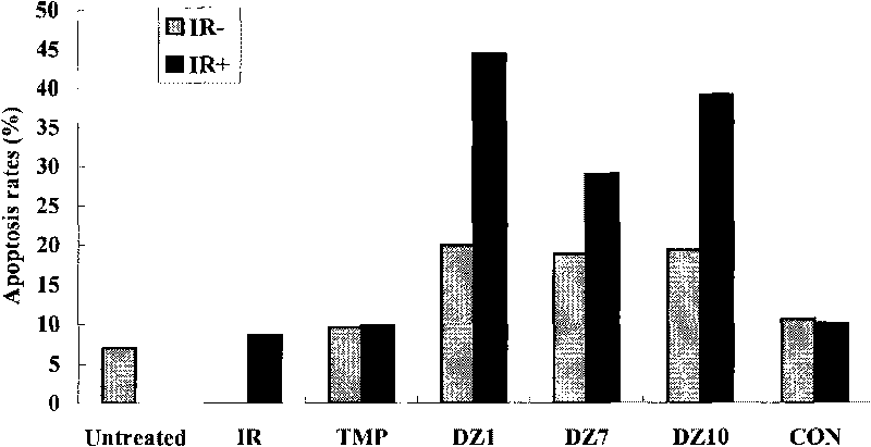 LMP1targeted oligonucleotide and application thereof serving as radiotherapeutic sensitizer