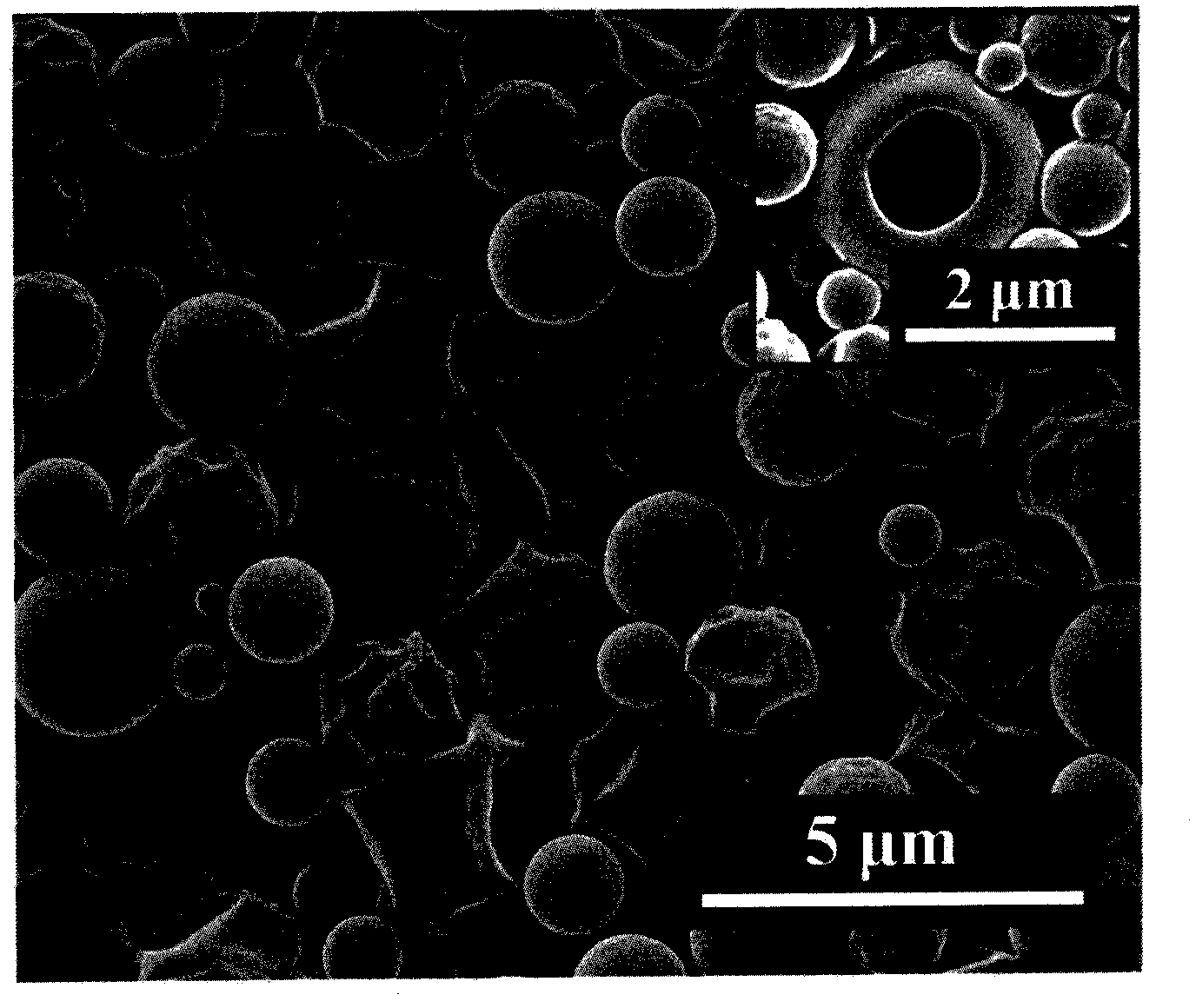 Therapy diagnosis preparation based on polypyrrole compound and preparation method of preparation