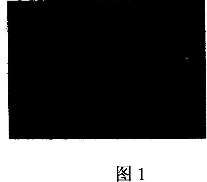 Chemical mechanical polishing material for barrier layer