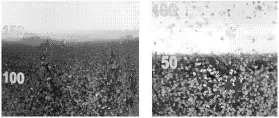 A kind of preparation method of fragment-free ultra-large graphene oxide