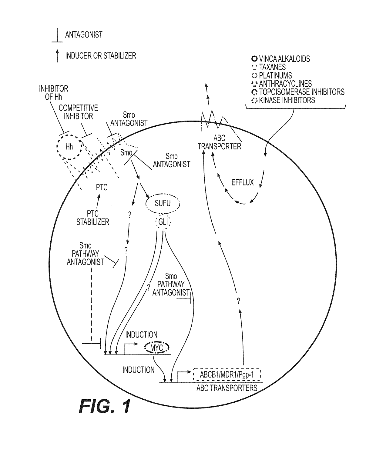 Compositions, packaged pharmaceuticals, and methods of using hedgehog pathway modulators for the sensitization of resistant tumors