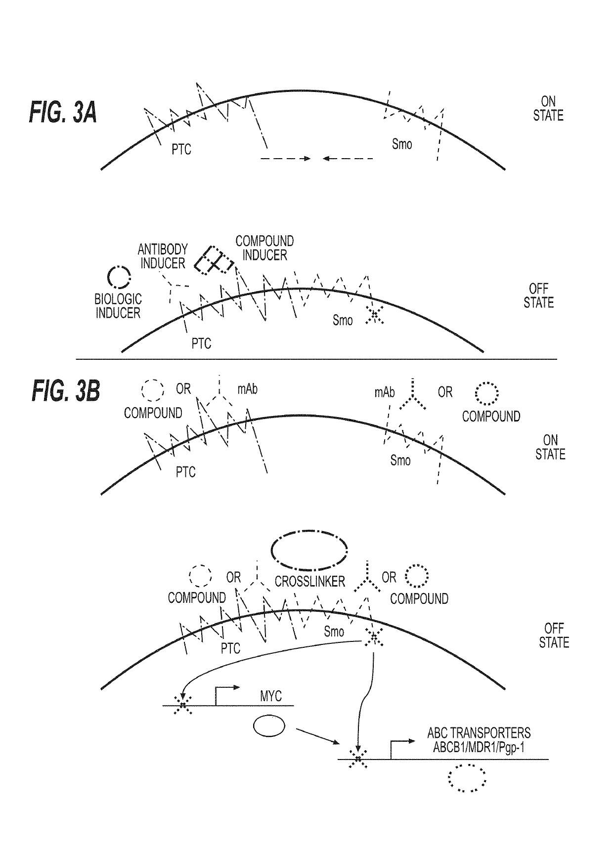 Compositions, packaged pharmaceuticals, and methods of using hedgehog pathway modulators for the sensitization of resistant tumors