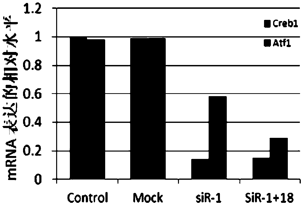 Small RNA used for psoriasis treatment, and derivatives and medicinal preparations thereof