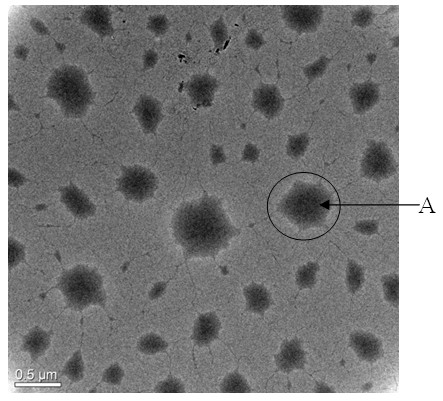 Preparation method for graphene oxide with high barrier property and polymer nanocomposite film