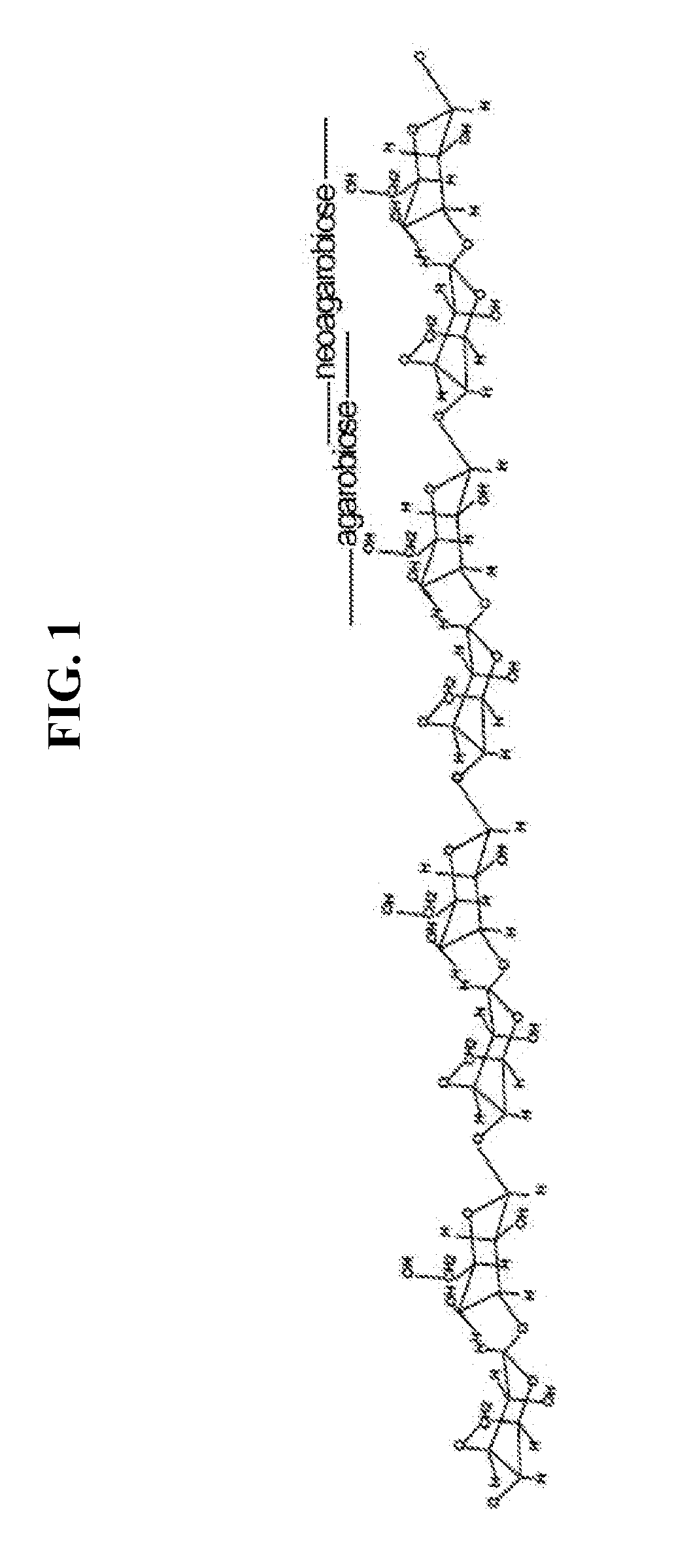 Novel alpha-neoagarobiose hydrolase and method for obtaining a monosaccharide using same