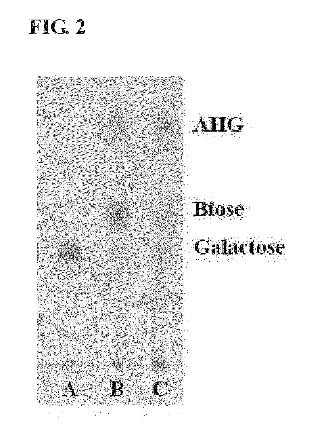 Novel alpha-neoagarobiose hydrolase and method for obtaining a monosaccharide using same