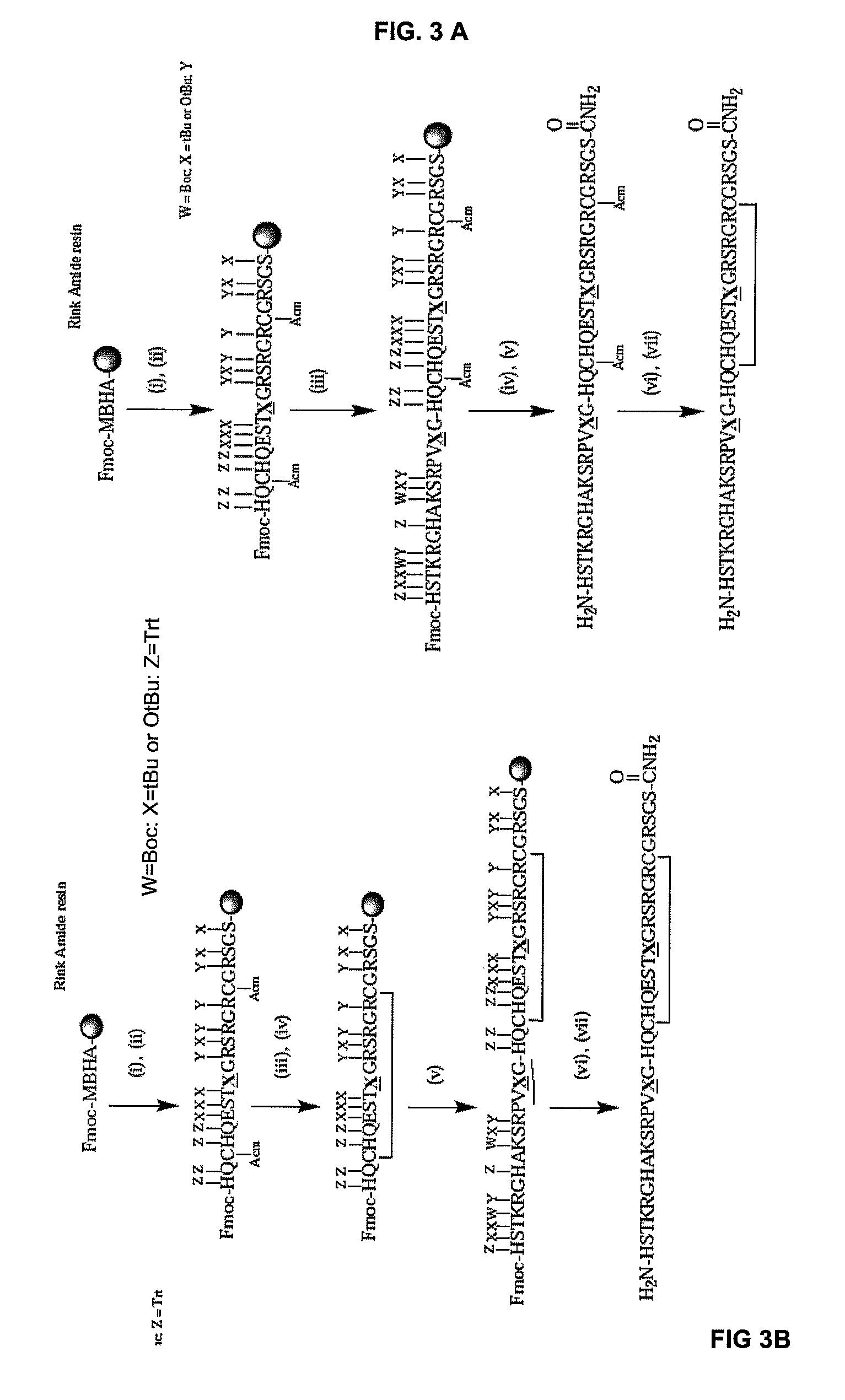 Citrullinated fibrin-filaggrin chimeric polypeptide capable of detecting the antibodies generated in rheumatoid arthritis