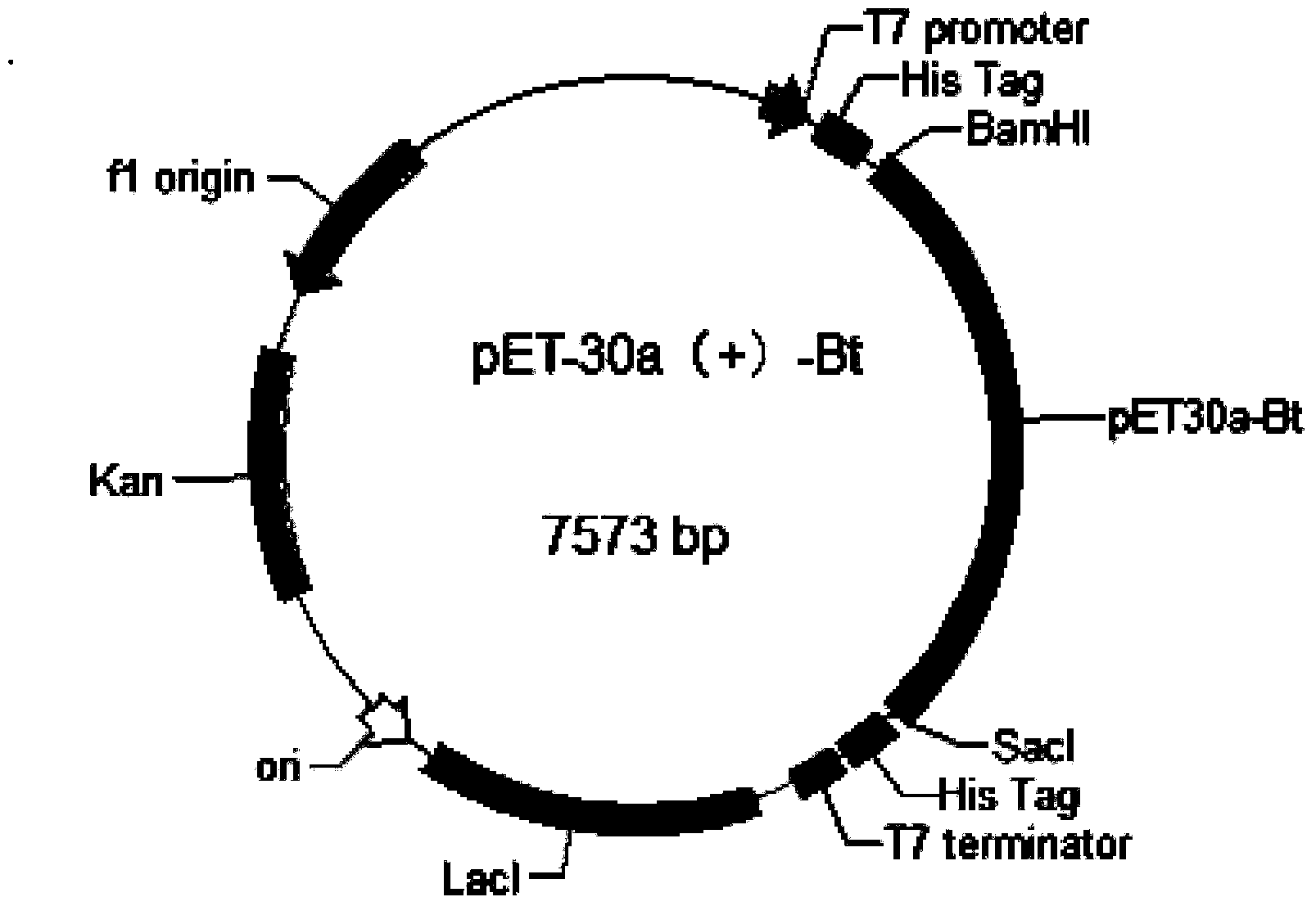 Insecticidal protein as well as coded gene and application of insecticidal protein