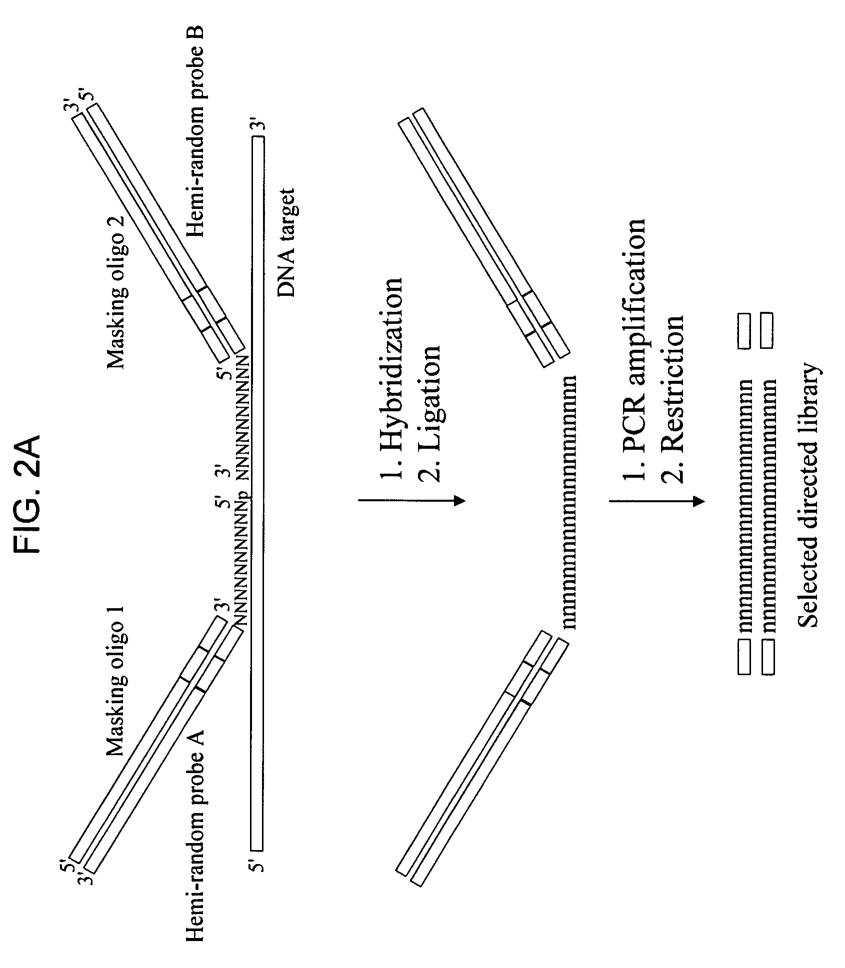 Methods of preparation of gene-specific oligonucleotide libraries and uses thereof