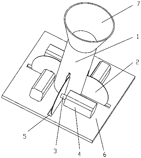 A kind of freeze-dried pomelo tea and processing method thereof