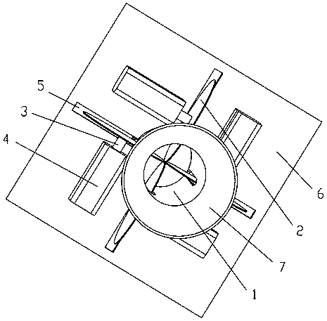 A kind of freeze-dried pomelo tea and processing method thereof