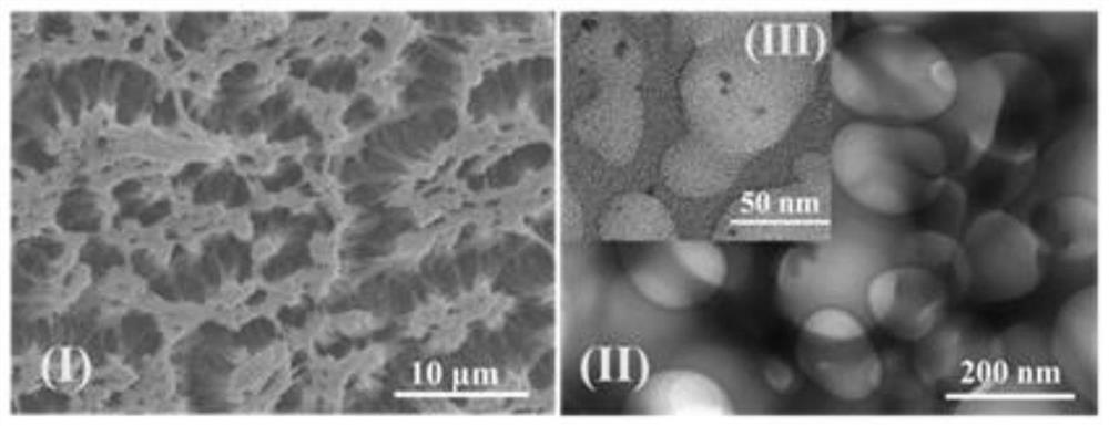 Preparation method and application of cellulose fluorescent spheres